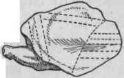 Method of carving the under part.
