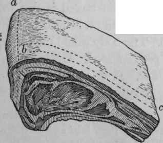 Roast ribs of beef.