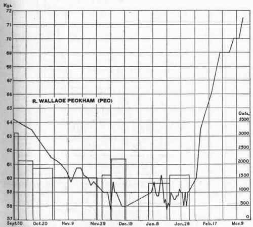 Body weight curve of Pec.
