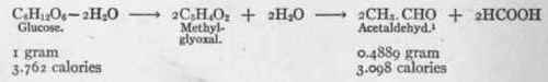 A Theory Of Metabolism 76