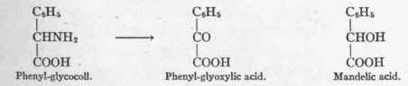 The Process Of Deamination 24