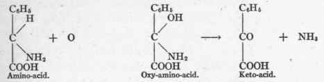 The Process Of Deamination 26