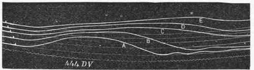 Curves drawn by the same muscle while being cooled.