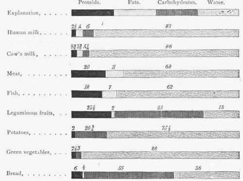 Diagram showing the proportion of the principal food stuffs in a few typical comestibles.