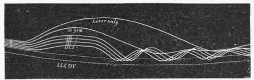 Six curves drawn by the same muscle when stretched by different weights.