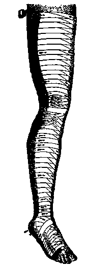 Bandaged Limb