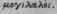 Ancyloglossum 648