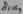 Diatessaron 2884