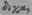 Dichotophyllon 2903