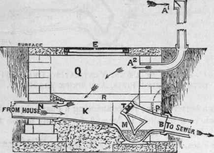 Fig. 171. Section of