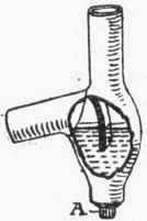 Fig. 154. Oval Lavatory Trap with Side Outlet.