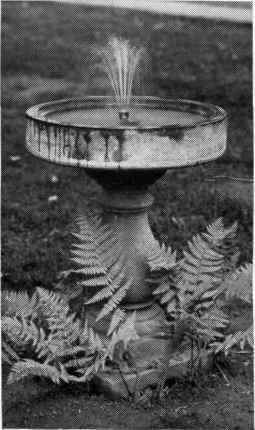 A concrete fountain makes an attractive and permanent fixture for the home grounds. Designs elsewhere in this book show form construction for such ornaments.