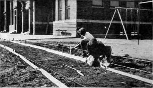 Setting up and staking forms to proper grade and line for a concrete sidewalk.
