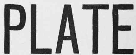 Sign Painting 70