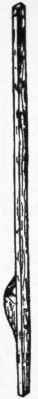 Implements For Outdoor Sports And Athletics Stilts 201