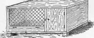 Rabbit Hutch 188