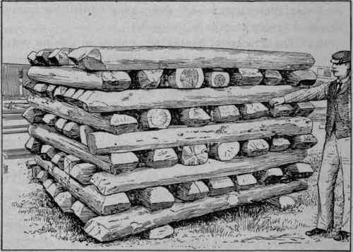 292 Water In Timber 404