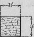 Elevation