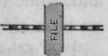 Elevation