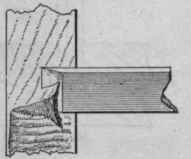 Elevation