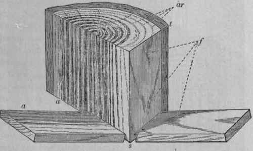 Timber And Its Preparation For Use Timber 390