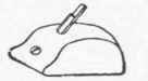 Fig. 16. Old Woman's Tooth.