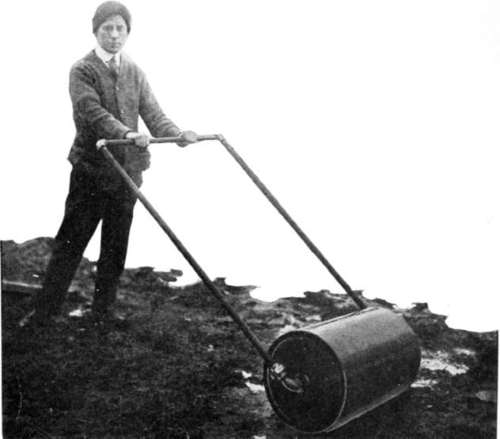 A Lawn Roller 411