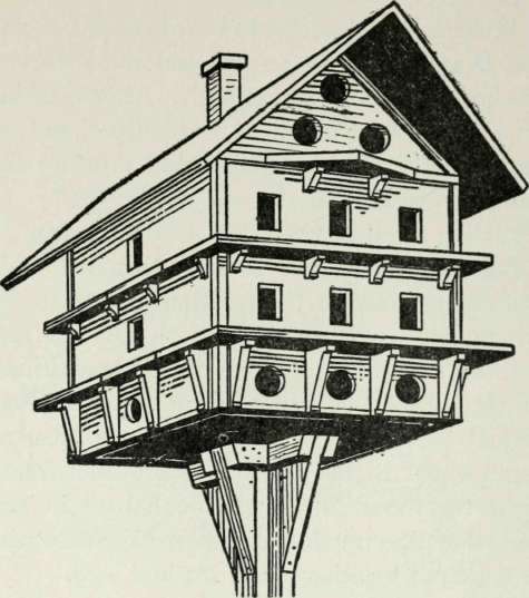 A Martin House 446