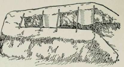Back Yard and Camp Fireplaces 296