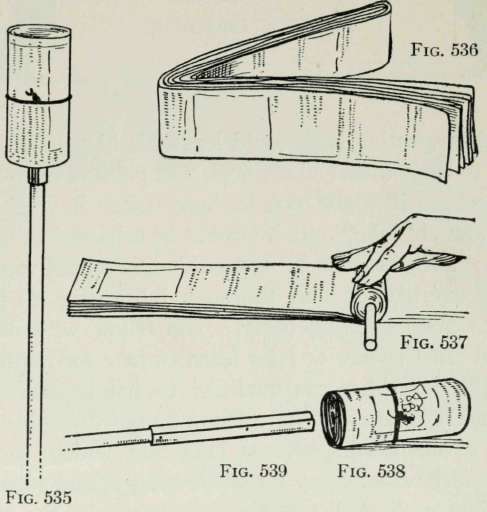 Back Yard and Camp Lamps 320