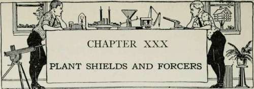 Plant Shields and Forcers 379