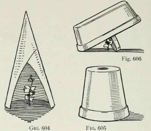 Plant Shields and Forcers 380