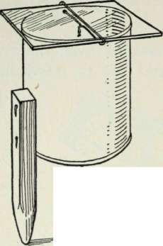 Plant Shields and Forcers 381