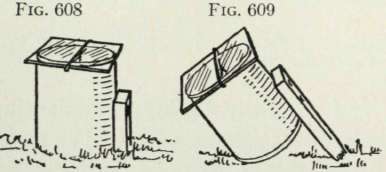 Plant Shields and Forcers 382