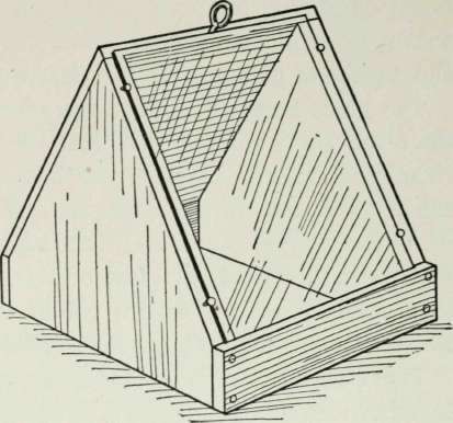 Plant Shields and Forcers 383