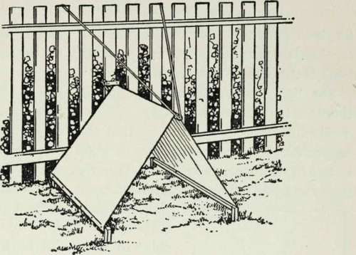 Tents for Hikes and the Back Yard 286