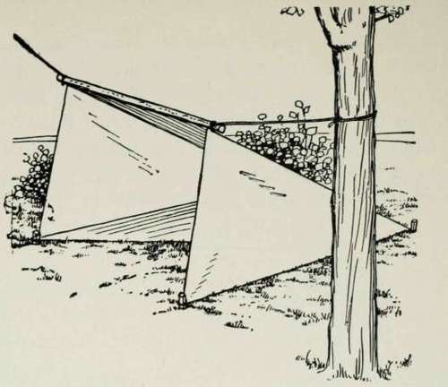 Tents for Hikes and the Back Yard 289