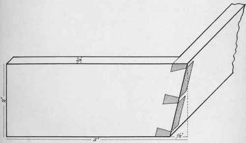 Oblique Dovetail. (Full size, broken.)
