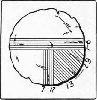 Fig . 3. Common method of quartering log.