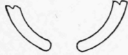 Calipers 257