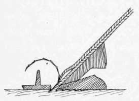 Fig. 23.   Result of Using Plane with Improperly Adjusted Cap Iron.