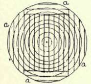 Fig. 15.   Plain, Slash, or Bastard Sawing.