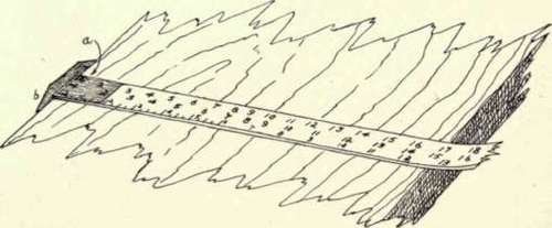 Fig. 17.   Lumber Scale.