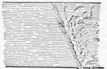 Exercise 7 Use Of The Rip Saw 77