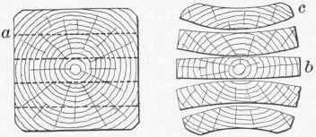 Fig. 15. Warping of planks cut from an unseasoned log.