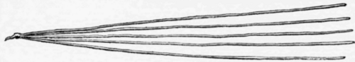 Fig. 41.