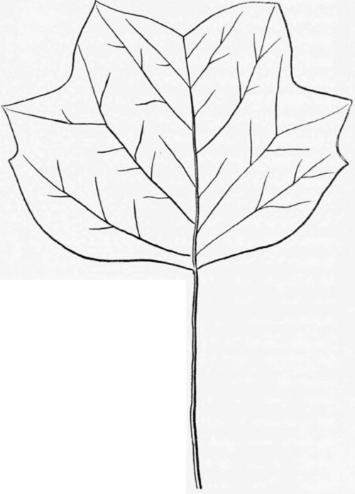 Fig. 42.