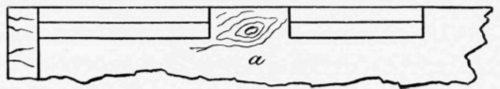 Fig. 65.