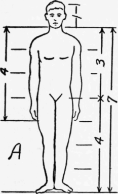 The Proportions of the Human Figure 127