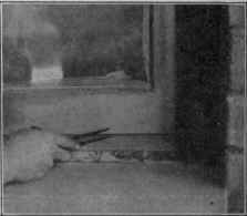 Fig. 130. Scribing Bottom of Lower Sash